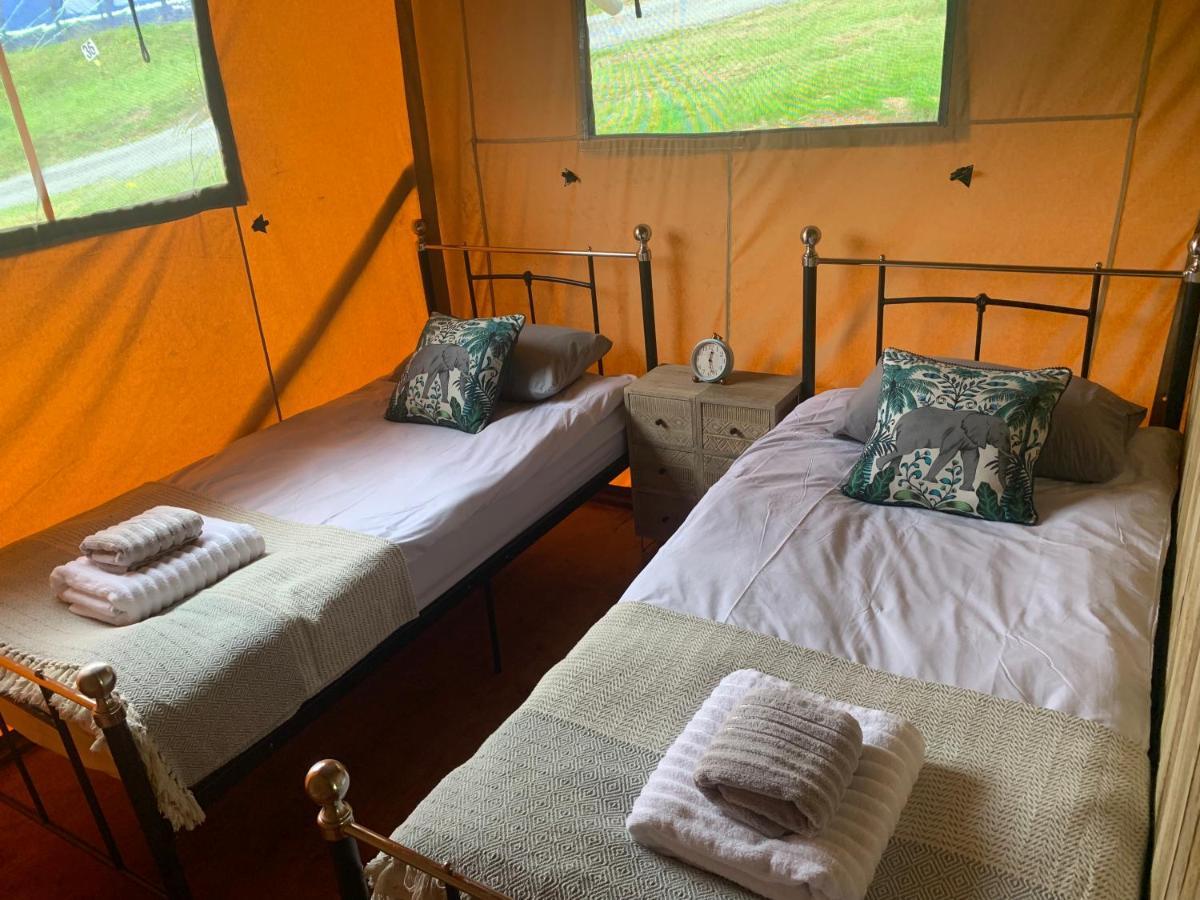 Mountain View Safari Tent With Hot Tub In The Heart Of Snowdonia Dolgellau Εξωτερικό φωτογραφία